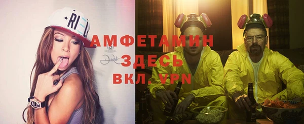 трава Лабытнанги