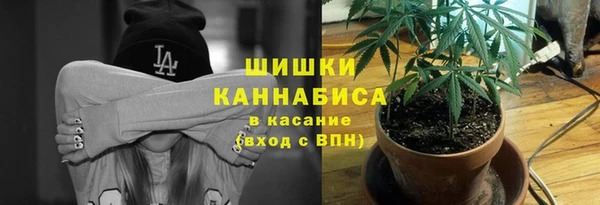 трава Лабытнанги