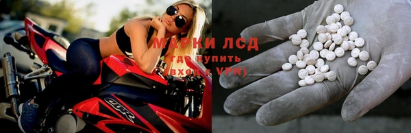 трава Лабытнанги