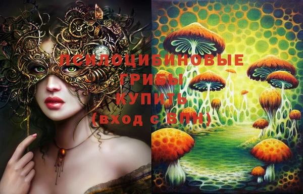 гашик Кулебаки