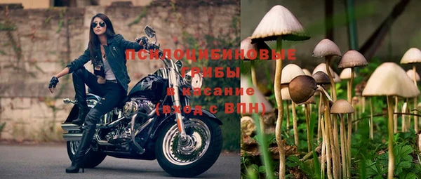 ешки Лагань