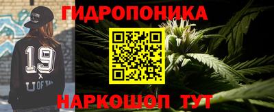 мяу мяу мука Апшеронск