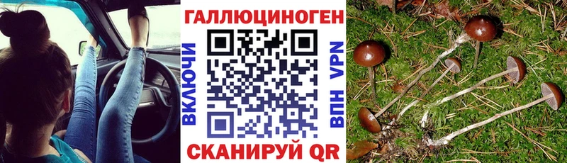 Галлюциногенные грибы MAGIC MUSHROOMS  hydra зеркало  Отрадное  как найти закладки 