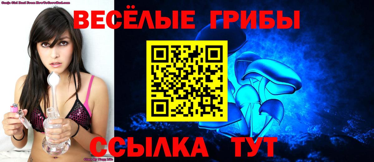 где найти наркотики  Вход с VPN  Отрадное  Псилоцибиновые грибы GOLDEN TEACHER  Псилоцибиновые грибы мухоморы 