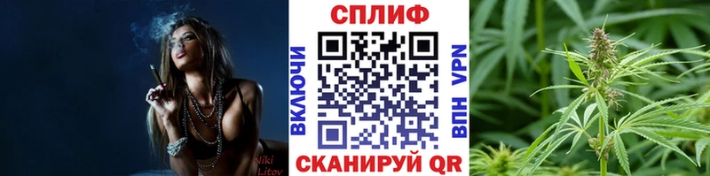 Канабис семена  Отрадное 